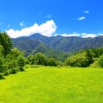 海外に行った時に必ず自分用お土産に買うものはこれ!