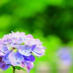 傘を持っていくかどうかもう悩まない!超軽量折りたたみ傘を常にバックの中に入れています
